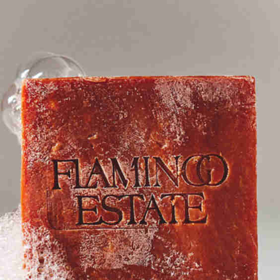 Roma Heirloom Tomato Soap Brick