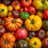 Heritage Harvest Seed
