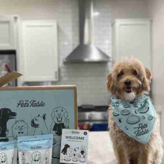 The Pets Table Reviews