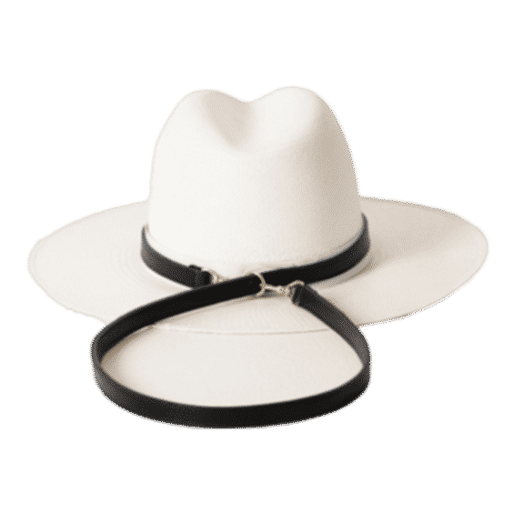 Hat Carrier
