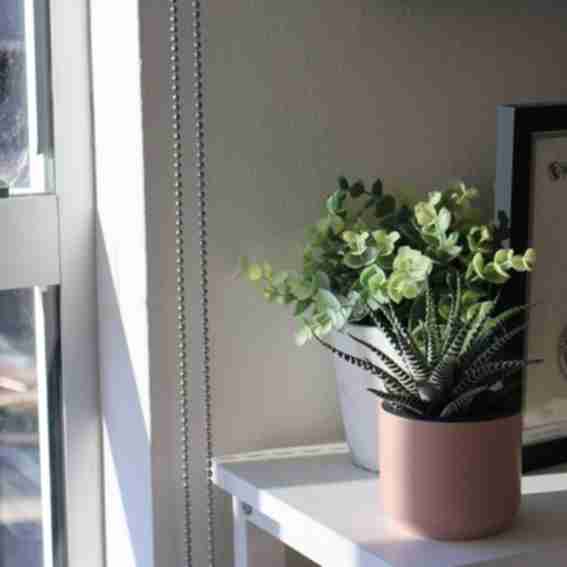 Myshelfie Reviews