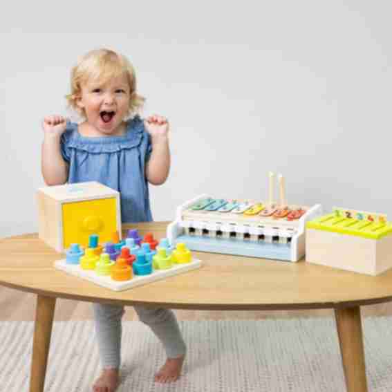 Fat Brain Toy Company Reviews