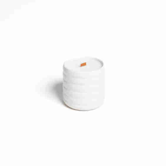 Forever Candle — Botanical Bliss