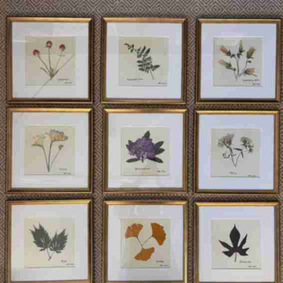 Botanicals by Sandy Reviews