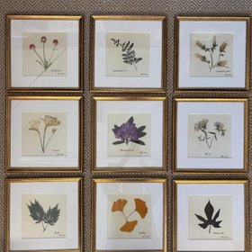 Botanicals by Sandy
