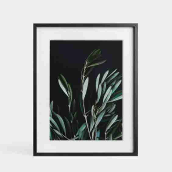 Modern Metal Frames