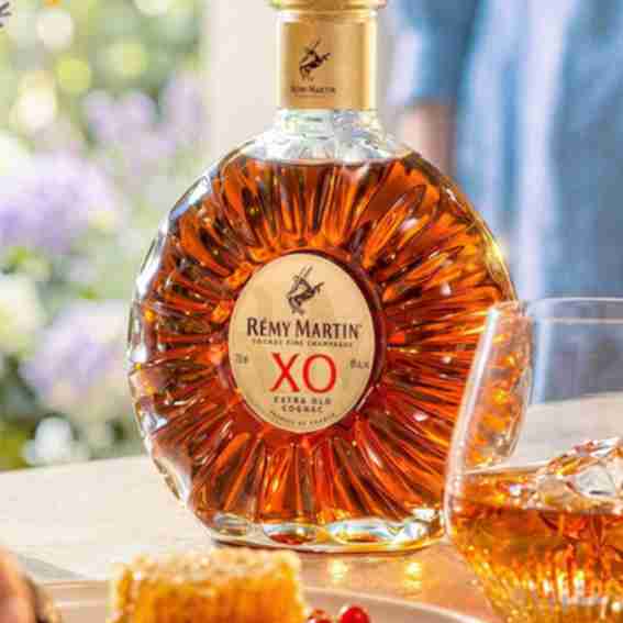 Rémy Martin Reviews