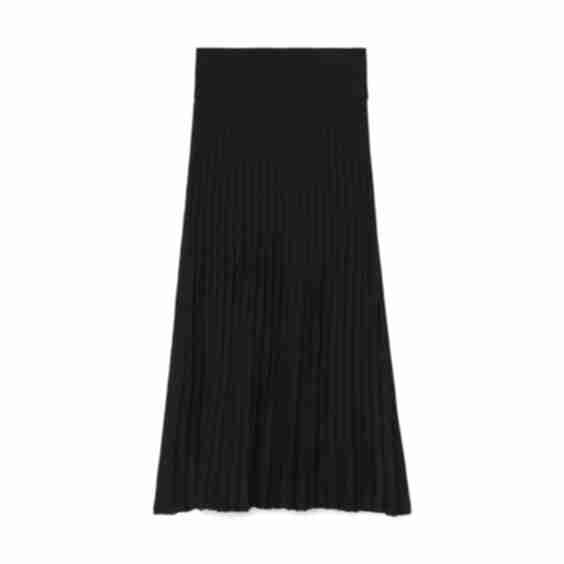 Sheer Pleated Skirt