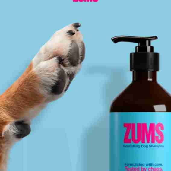 Zums Reviews