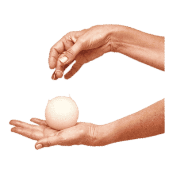 Konjac Sponge