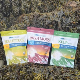 Maine Coast Sea Vegetables