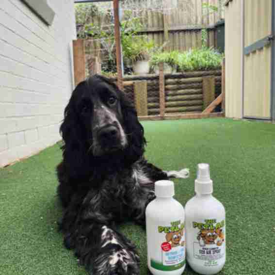 The PawLab Reviews