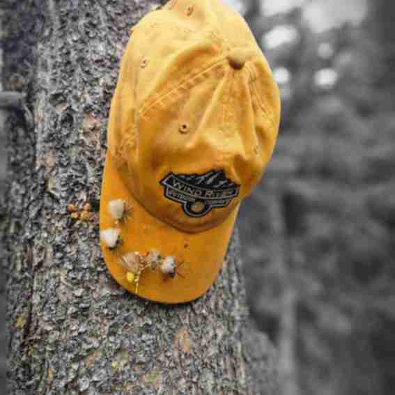 Wind River Outdoor Reviews