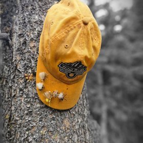 Wind River Outdoor