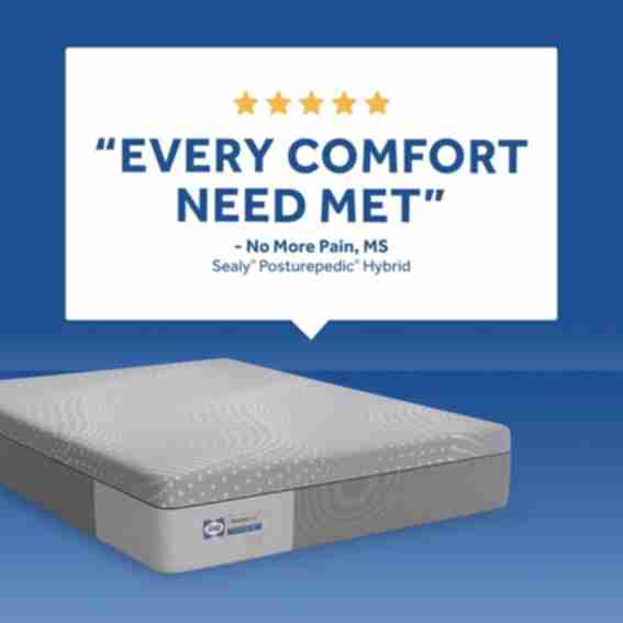 Sealy Reviews