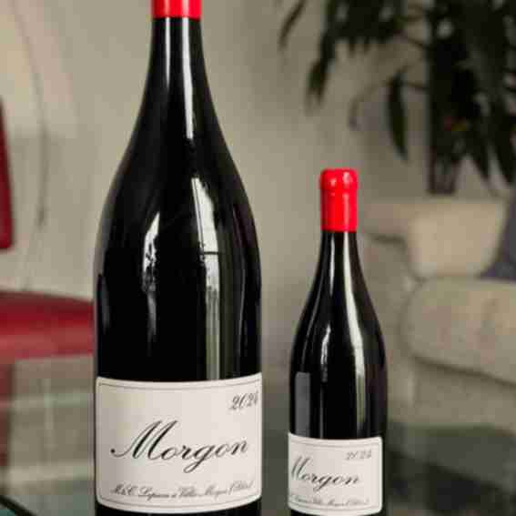 Domaine Marcel Lapierre Reviews