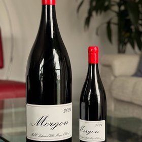 Domaine Marcel Lapierre