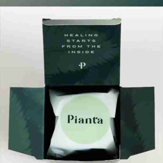 Pianta Reviews