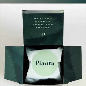 Pianta