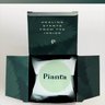 Pianta