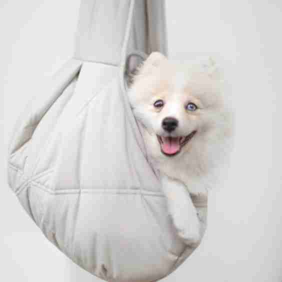 Olla Petite Pet Carry Cot Bed Koala