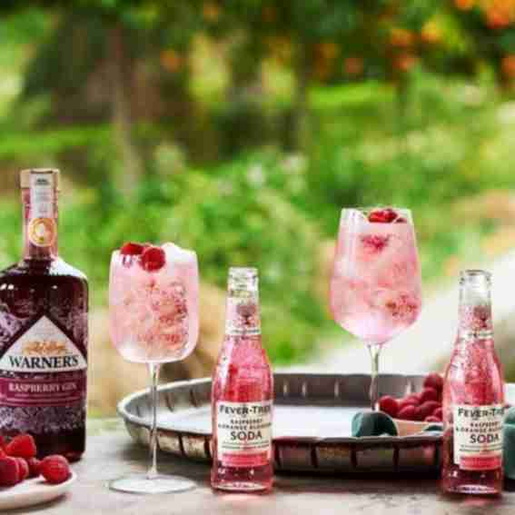 Fever-Tree Reviews