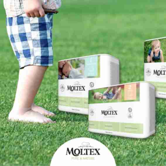 MOLTEX Reviews