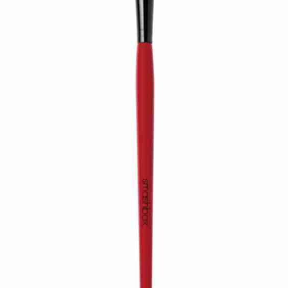 Full Coverage Shadow Brush