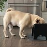 Fluff Trough