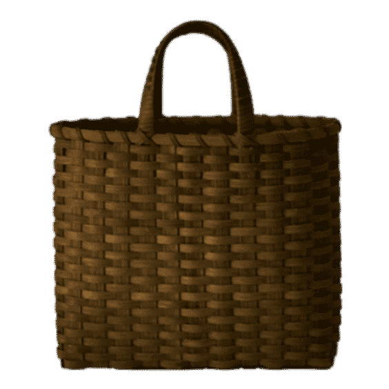 The Big Shopper Bag