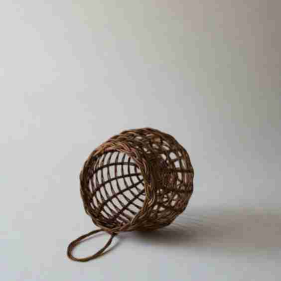 Sweet Onion Basket