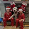 Cuddle Clones