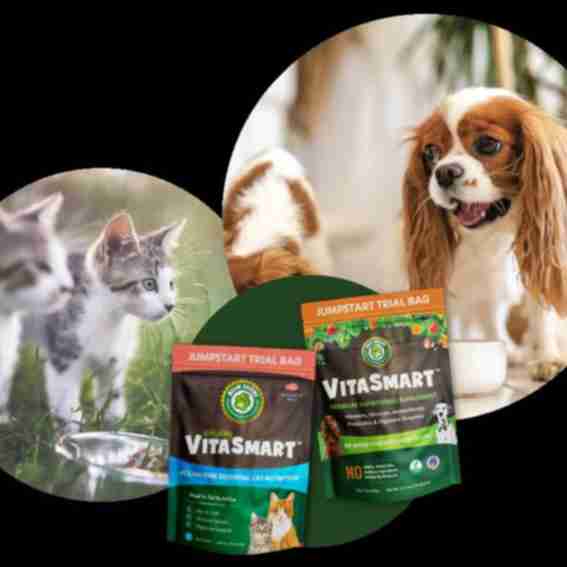 Ruff Greens Reviews