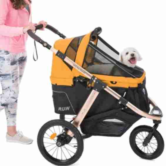 Run Jogging Running Pet Stroller