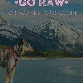 Girls Gone Raw Pet Health