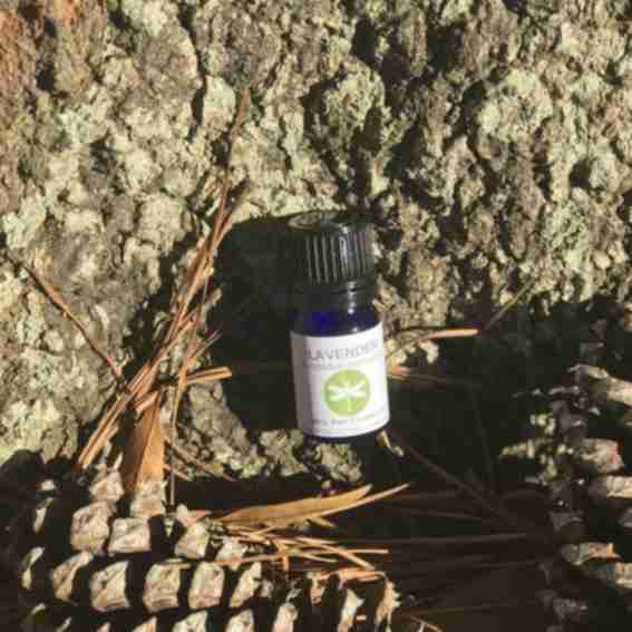 Nature's Link Wellness Center Reviews