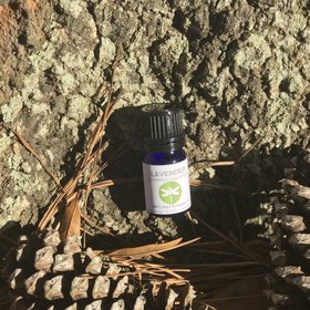 Nature's Link Wellness Center