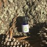 Nature's Link Wellness Center