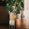 Frukt Coffee