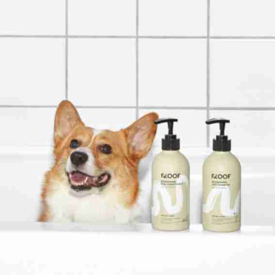 Floof Reviews