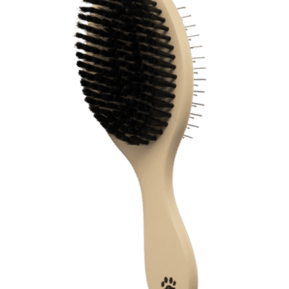 Double-Sided Daily Brush