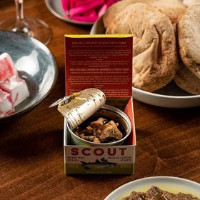 Scout