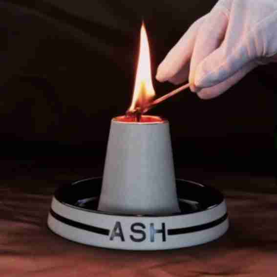 Ash World Reviews