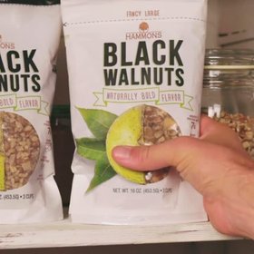 Hammons Wild Black Walnuts