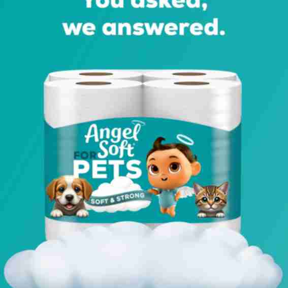Angel Soft Reviews