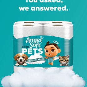 Angel Soft