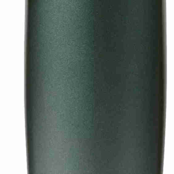 FreeSip Sway Water Bottle