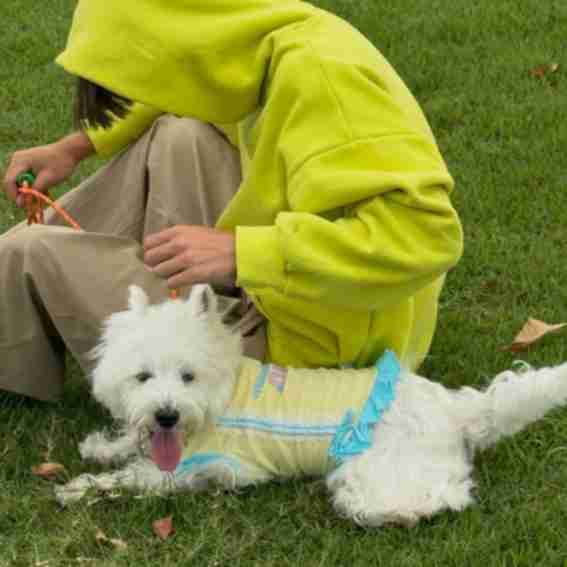 Pup&Pearl Reviews