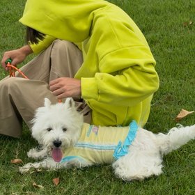 Pup&Pearl