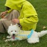 Pup&Pearl